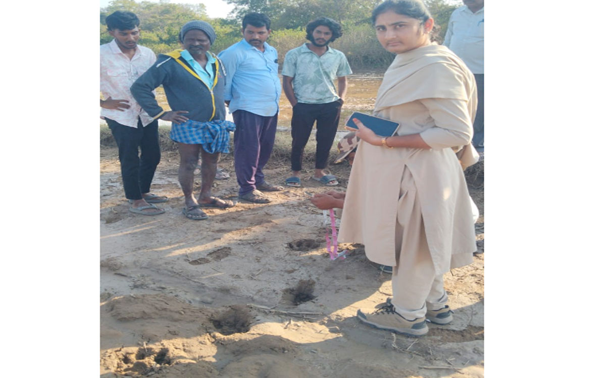 Rajapet : బేగంపేటలో పులి సంచారం కలకలం