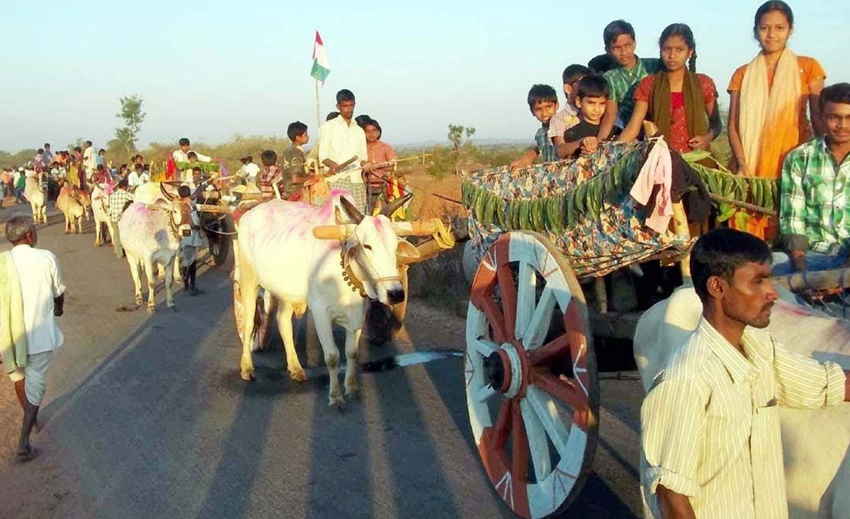 Rayapol | రాయపోల్‌ మండలంలో ఘనంగా సంక్రాంతి సంబురాలు.. ఇండ్ల ముందు రంగవల్లిలతో ముగ్గులు..