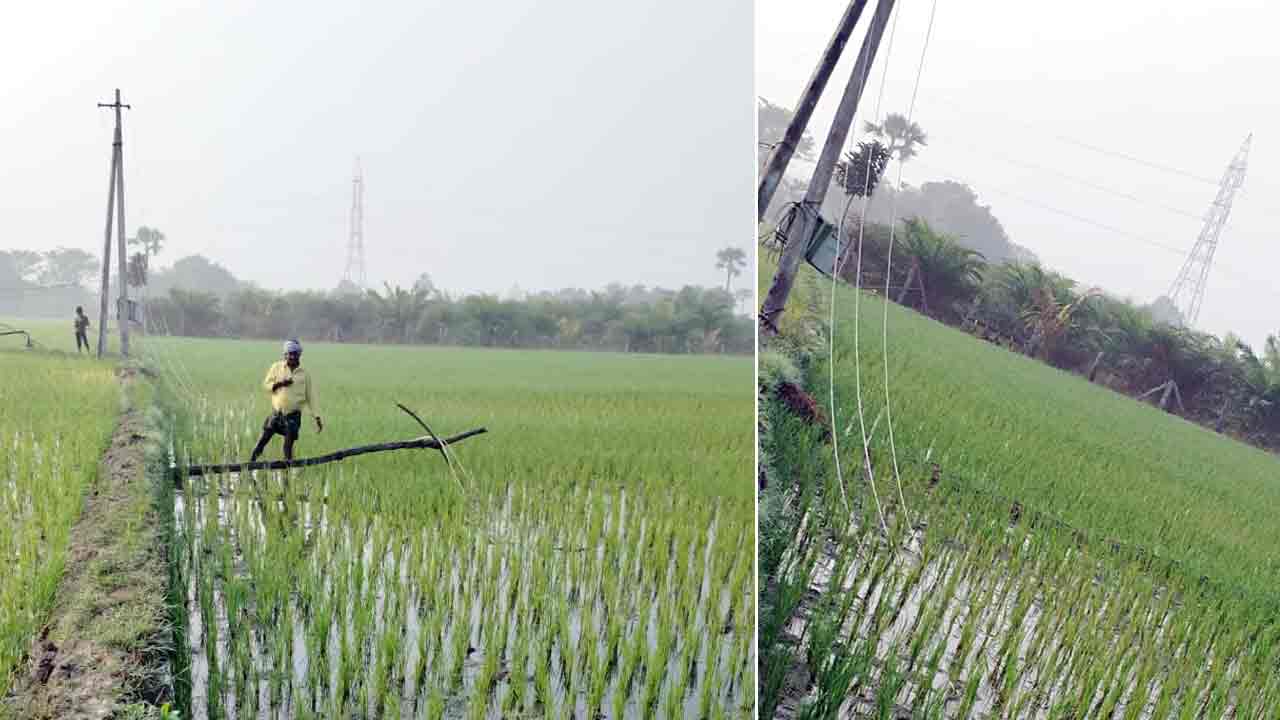 ప్రాణాలు పోతున్న పట్టించుకోరా.. విద్యుత్ అధికారుల నిర్లక్ష్యంపై రైతుల ఆగ్రహం