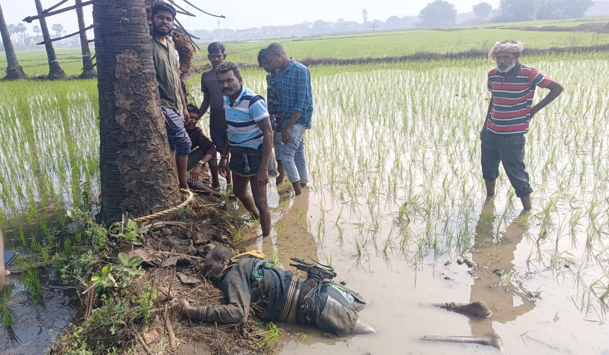 Appannapet | అప్పన్నపేటలో తాడిచెట్టుపై నుంచి పడి గీత కార్మికుడి మృతి