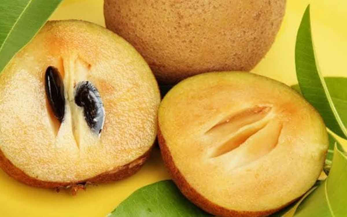 Sapota | రోజూ స‌పోటా పండ్ల‌ను తింటే క‌లిగే అద్భుత‌మైన లాభాలు ఇవే.. వీరు మాత్రం తిన‌కూడ‌దు..!