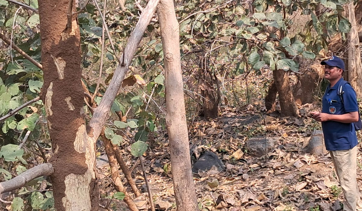 Survey | రేచపల్లి అటవిప్రాంతంలో శాఖహార జంతు సర్వే పూర్తి