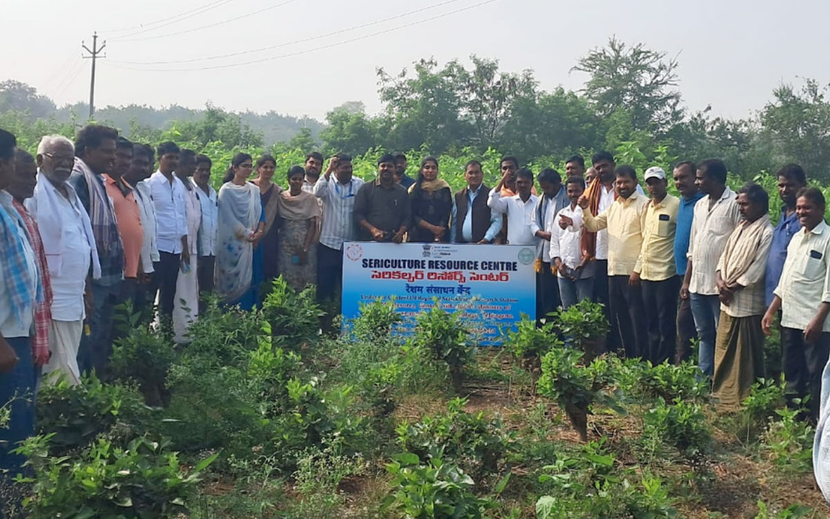 Kanagal : న‌రసింహ‌పురంలో సెరిక‌ల్చ‌ర్ రిసోర్స్ సెంట‌ర్‌లో శిక్ష‌ణ త‌ర‌గ‌తులు ప్రారంభం