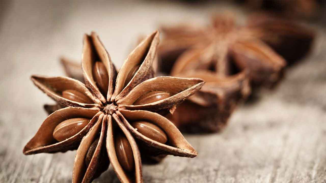 Star Anise | మ‌సాలా దినుసుగా ఉపయోగ‌ప‌డే పువ్వు.. అనేక లాభాల‌ను అందిస్తుంది..