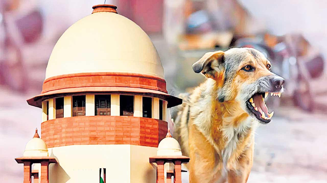 ప్రతి కుక్క కాటుకూ భారీ జరిమానా