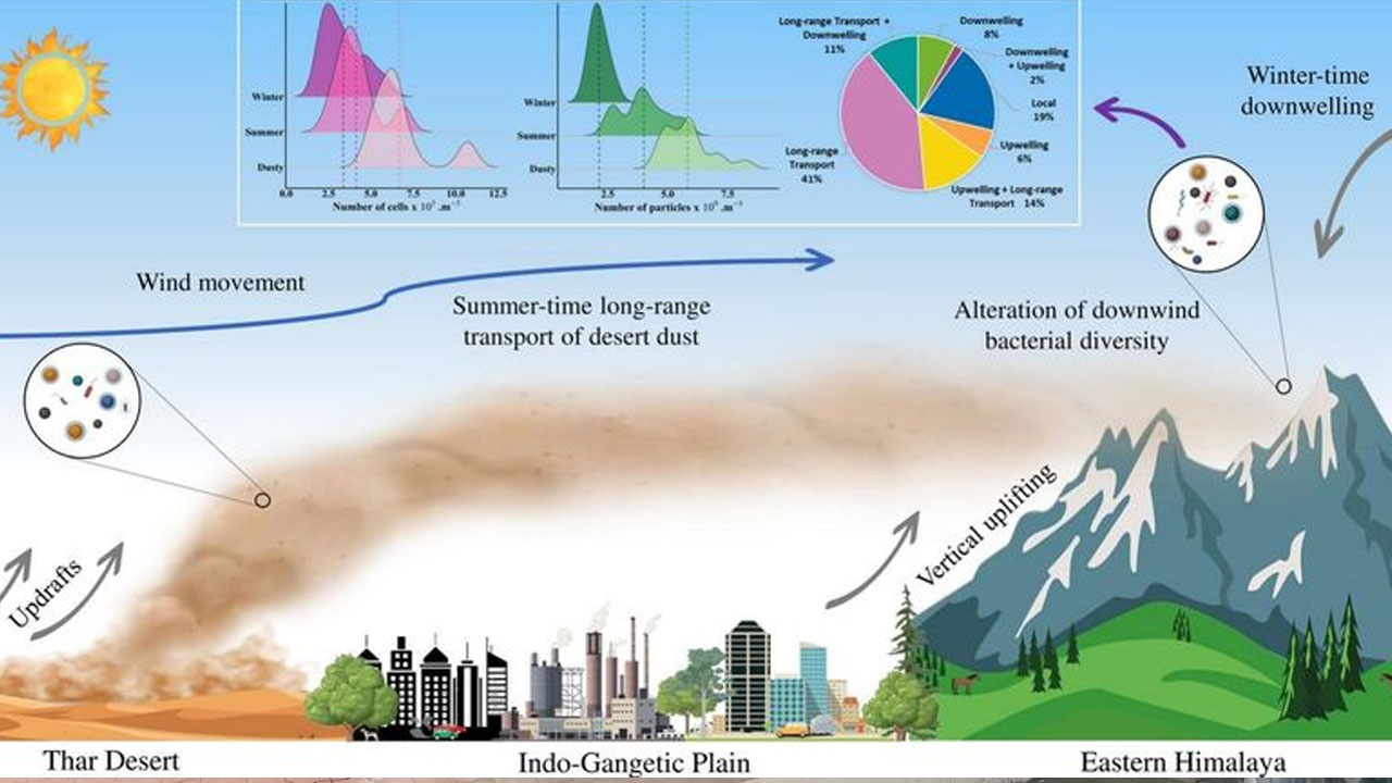 Thar Desert: తూర్పు హిమాల‌యాల వైపు థార్ ఎడారి బ్యాక్టీరియా.. స్ట‌డీలో షాకింగ్ విష‌యాలు