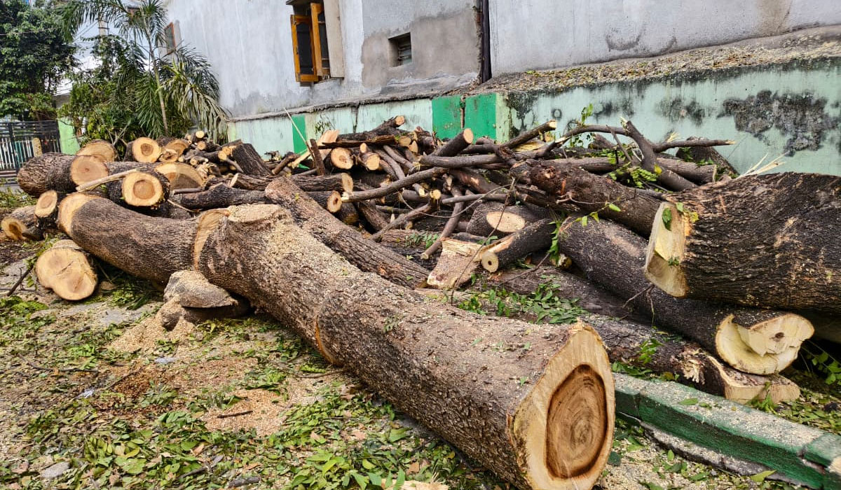 Vemulawada | వేములవాడలో ప్రభుత్వ కార్యాలయంలో చెట్ల నరికివేత..!