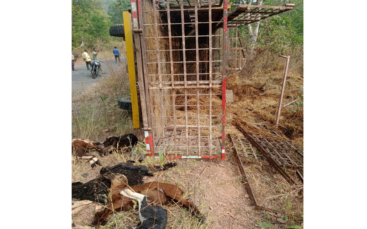 Yellandu : మినీ ట్రాలీ పల్టీ.. 15 మేకలు మృతి