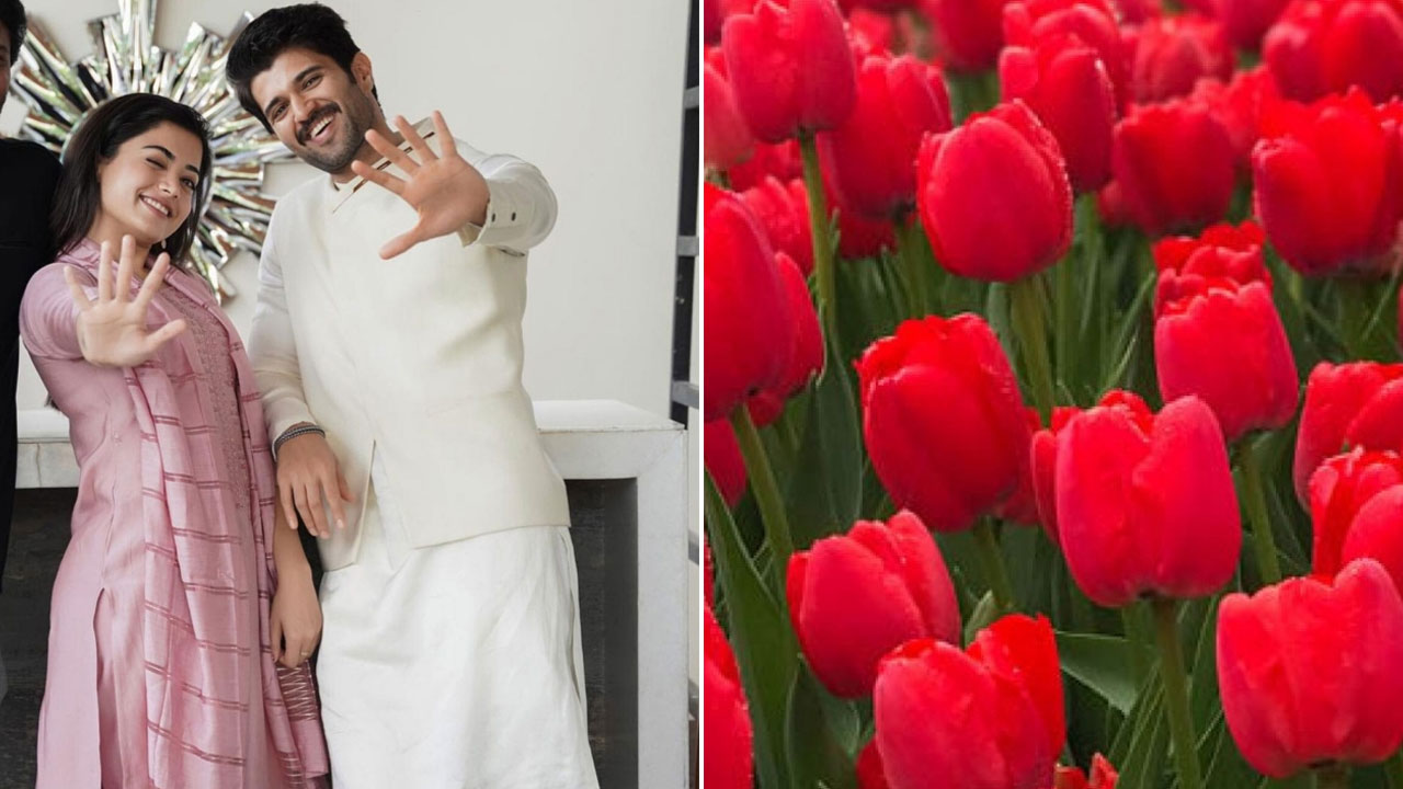 Vijay-Rashmika | విజయ్ – రష్మిక పెళ్లిపై కొత్త చర్చ.. డచ్ గులాబీలతో వేడుక మ‌రింత అట్రాక్షన్‌గా..!