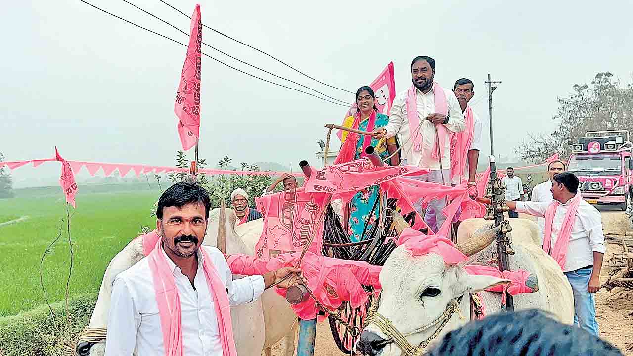 తొర్రూరుపై ఎగిరేది గులాబీ జెండానే : ఎర్రబెల్లి