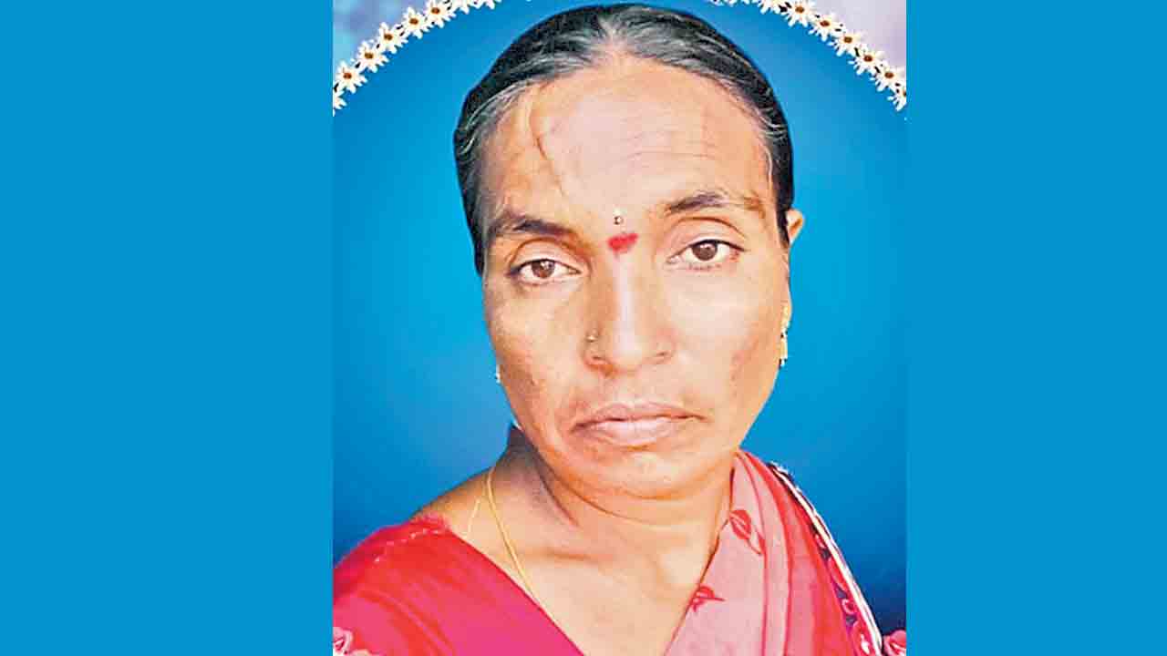 ఆస్తి దక్కకుండా చేస్తున్నదని అత్త హత్య!