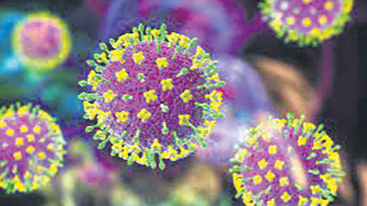 నిపా వైరస్‌తో బెంగాల్‌లో తొలి మరణం.. చికిత్స పొందుతూ నర్సు మృతి