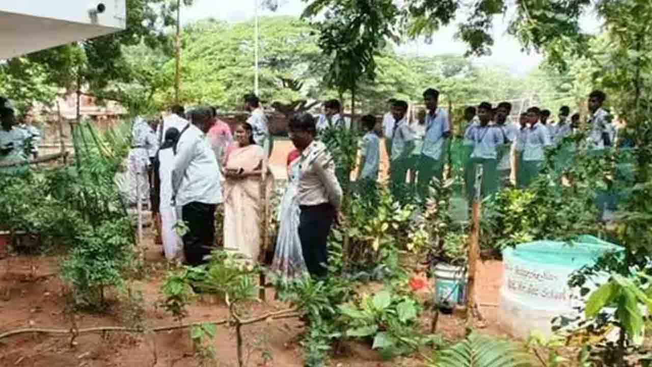 మూడ్రోజులపాటు కూరగాయల సాగుపై సమావేశాలు : దండ రాజిరెడ్డి
