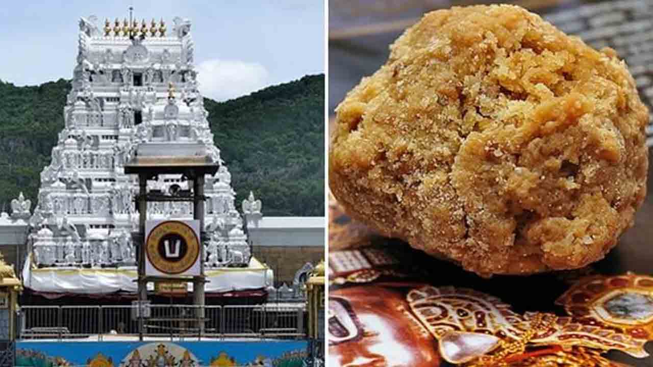 తిరుమల లడ్డూ నెయ్యి కల్తీపై ఏకసభ్య కమిషన్‌