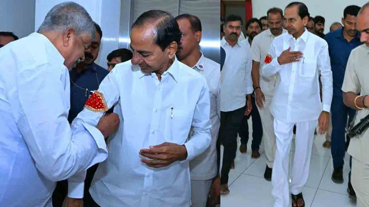 చెక్కుచెదరని పిడికిలి