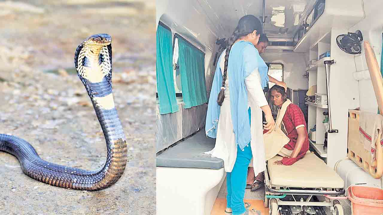 గురుకులంలో పాముకాటు.. మహబూబాబాద్‌ జిల్లా ఇనుగుర్తిలో ఘటన
