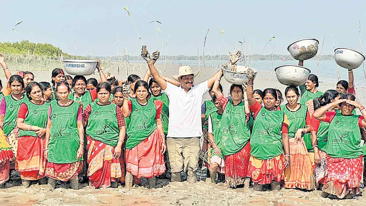 సుందర్‌బన్‌ అడవుల్లో హరిత యజ్ఞం