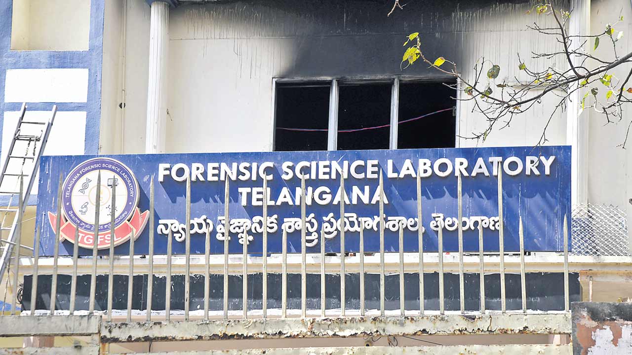 క్రిమినల్స్‌కు క్లీన్‌చిట్‌?