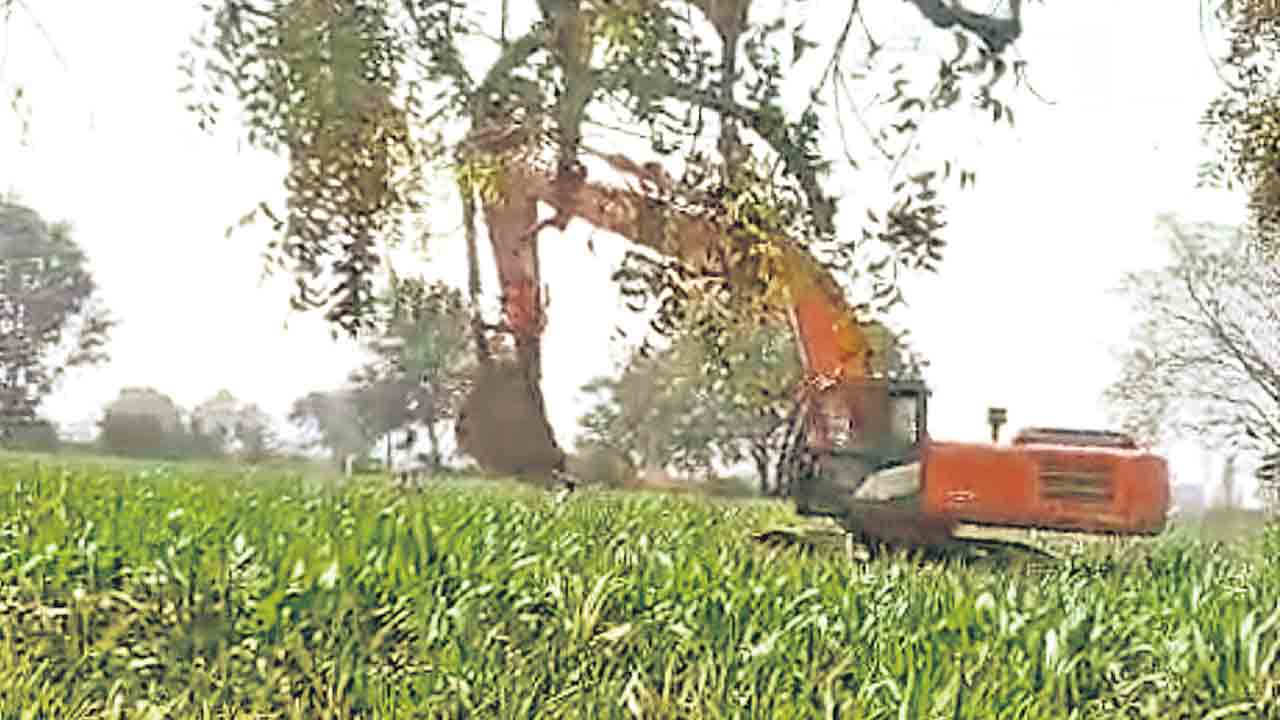 పచ్చని పంటపై ‘కొడంగల్‌’ జేసీబీ!