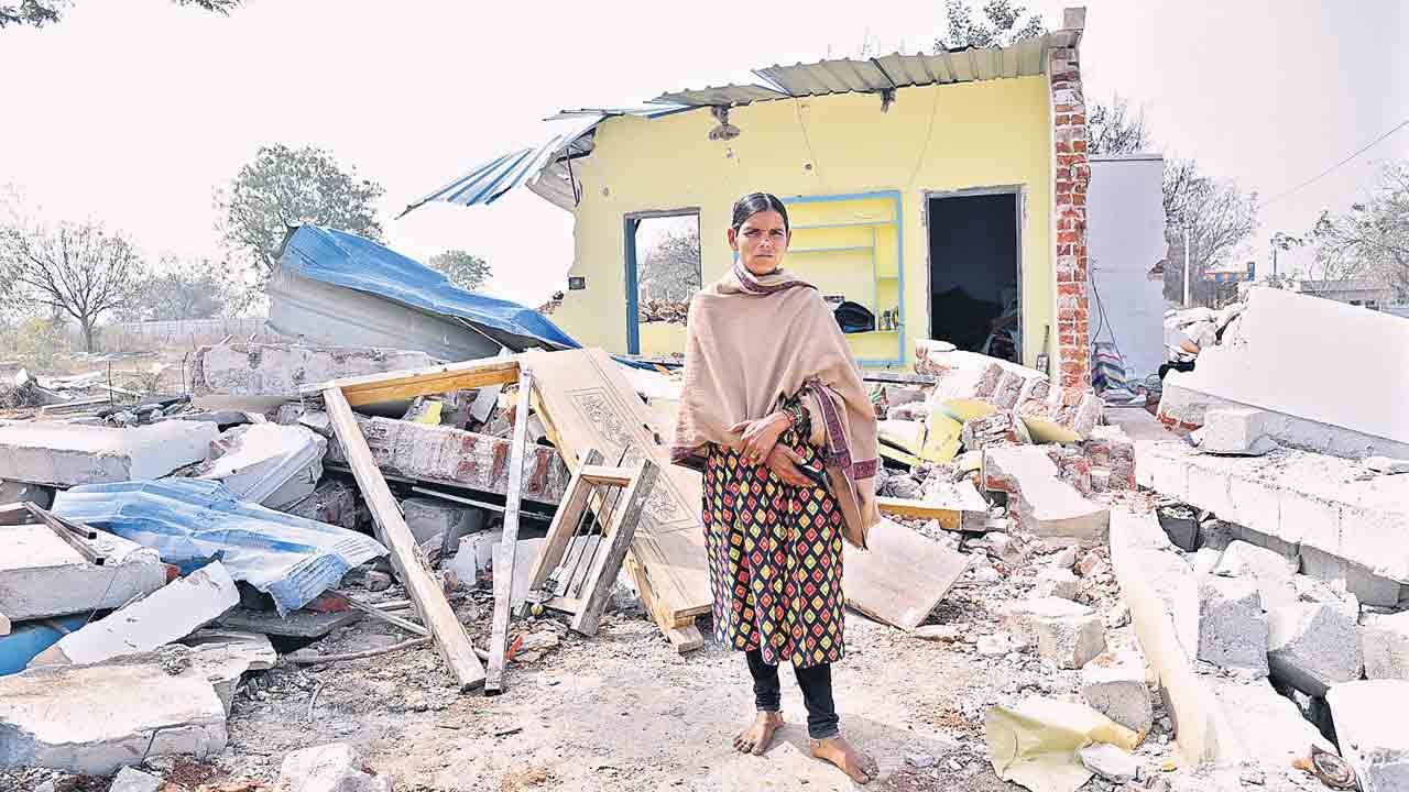 పెద్దమంగళారంలో ఆటవిక రాజ్యం!