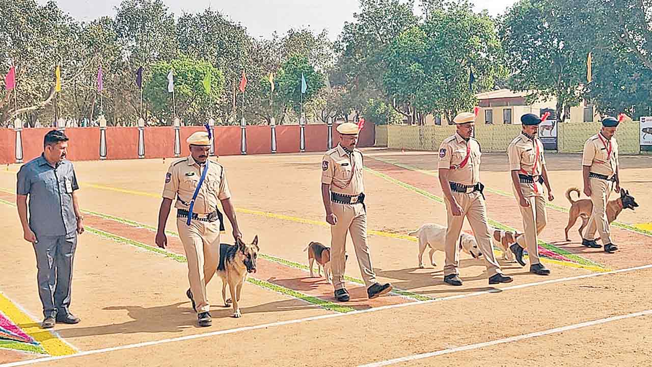 రక్షణకు మారుపేరు ఐఎస్‌డబ్ల్యూ