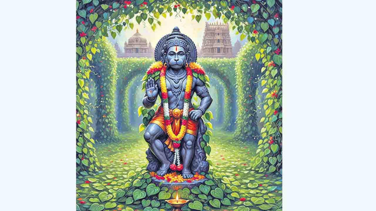 తమలపాకుల తోటలు