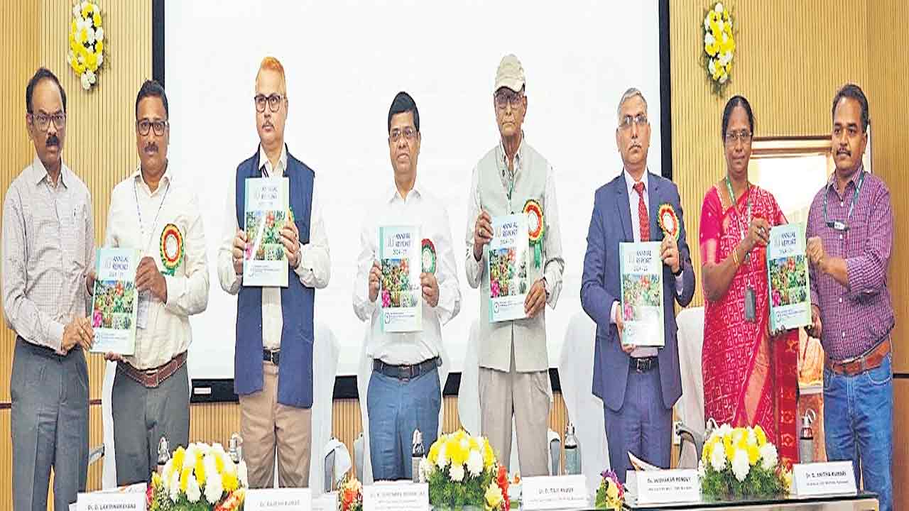 కొత్త ఆవిష్కరణలతో అధిక దిగుబడులు