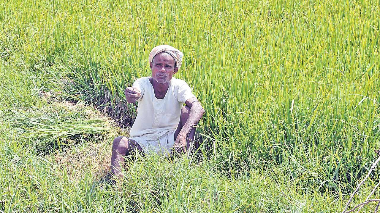 Rythu Bharosa | 20 లక్షల ఎకరాలకు రైతుభరోసా కట్‌.. ఇది ఇంకా పెరిగే అవకాశం