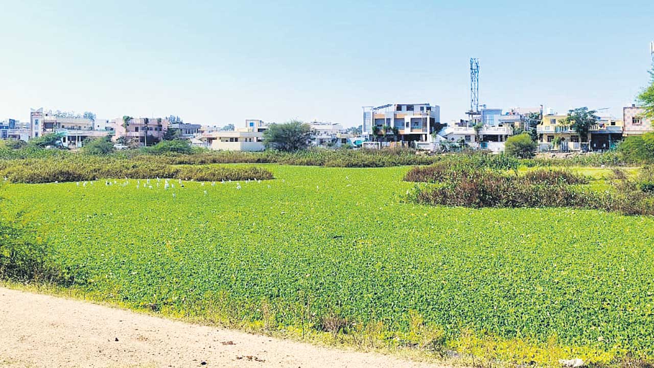 యథేచ్ఛగా కబ్జాలు