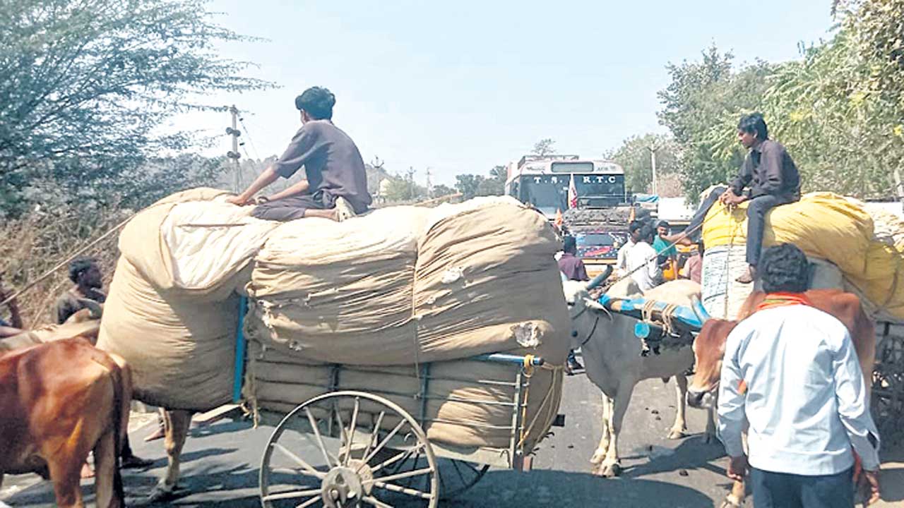 పత్తి కొనాల్సిందే..