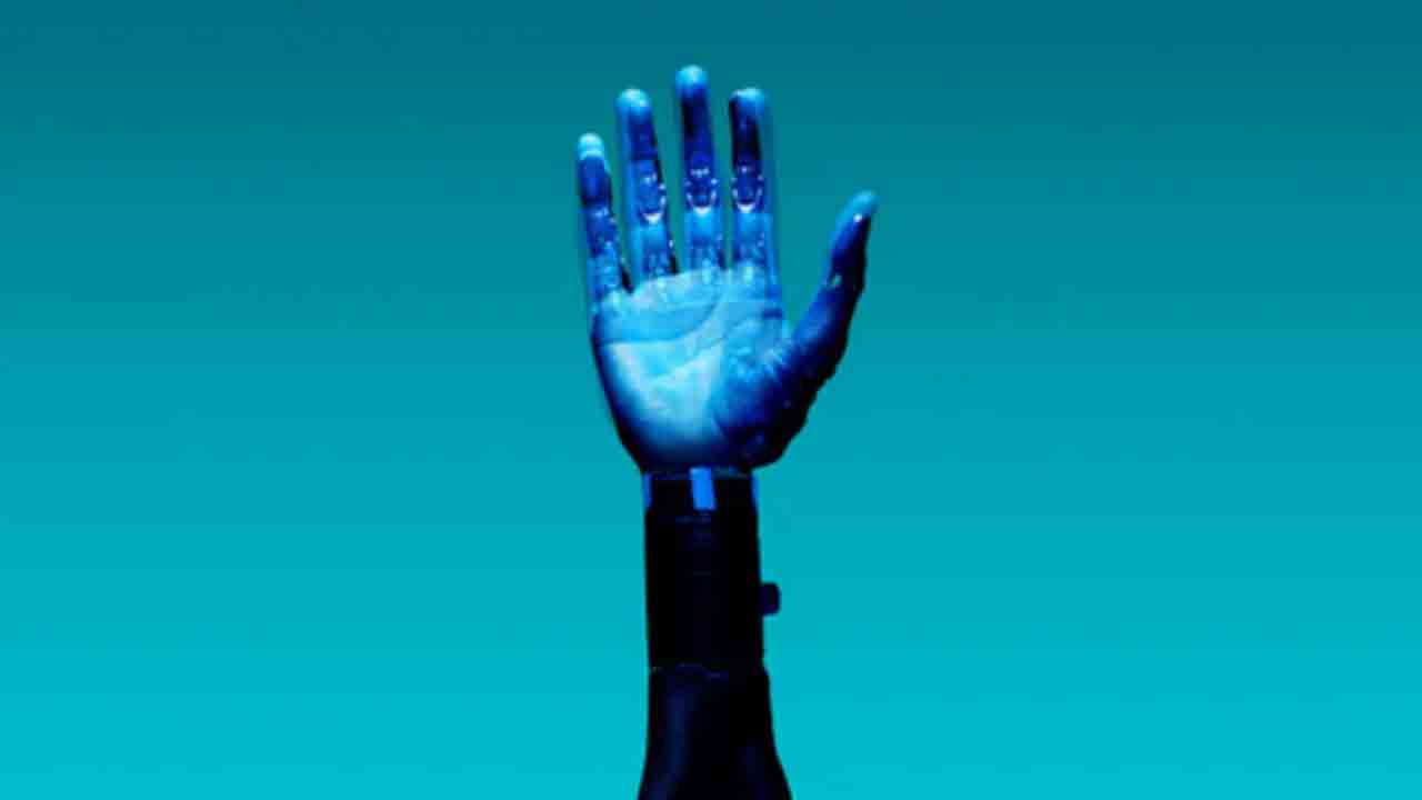 Union Budget 2026: దివ్యాంగులు, కృత్రిమ అవయవాల ఉత్పత్తిపై కేంద్రం దృష్టి