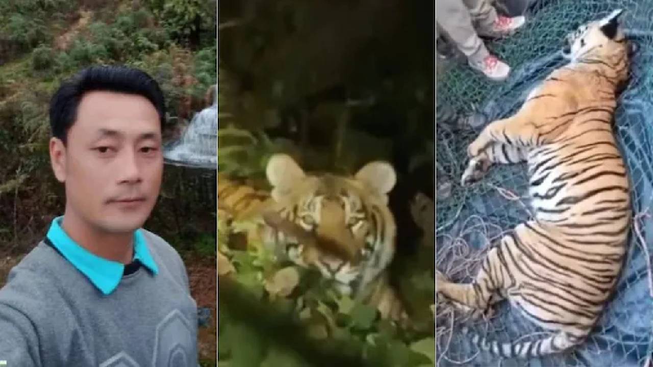 Arunachal Pradesh | కానిస్టేబుల్‌ను తినేసిన పులి.. గుర్తు తెలియని వ్యక్తుల కాల్పుల్లో పులి మృతి