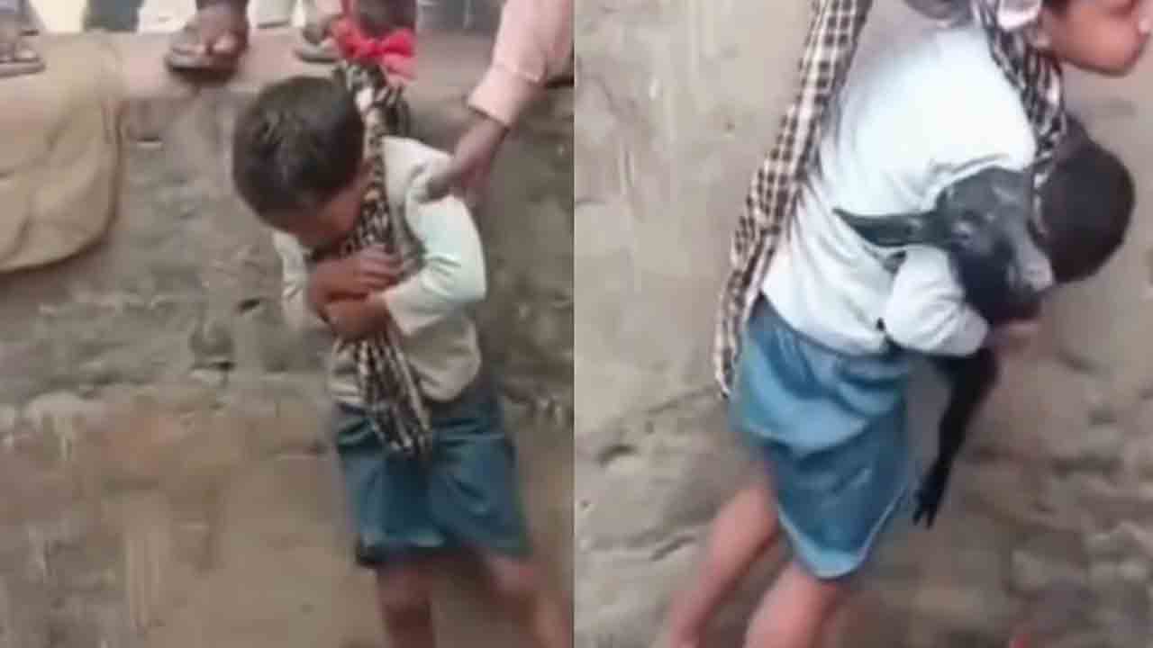 Watch: బావిలో పడిన మేక పిల్ల.. కాపాడేందుకు సాహసం చేసిన బాలుడు