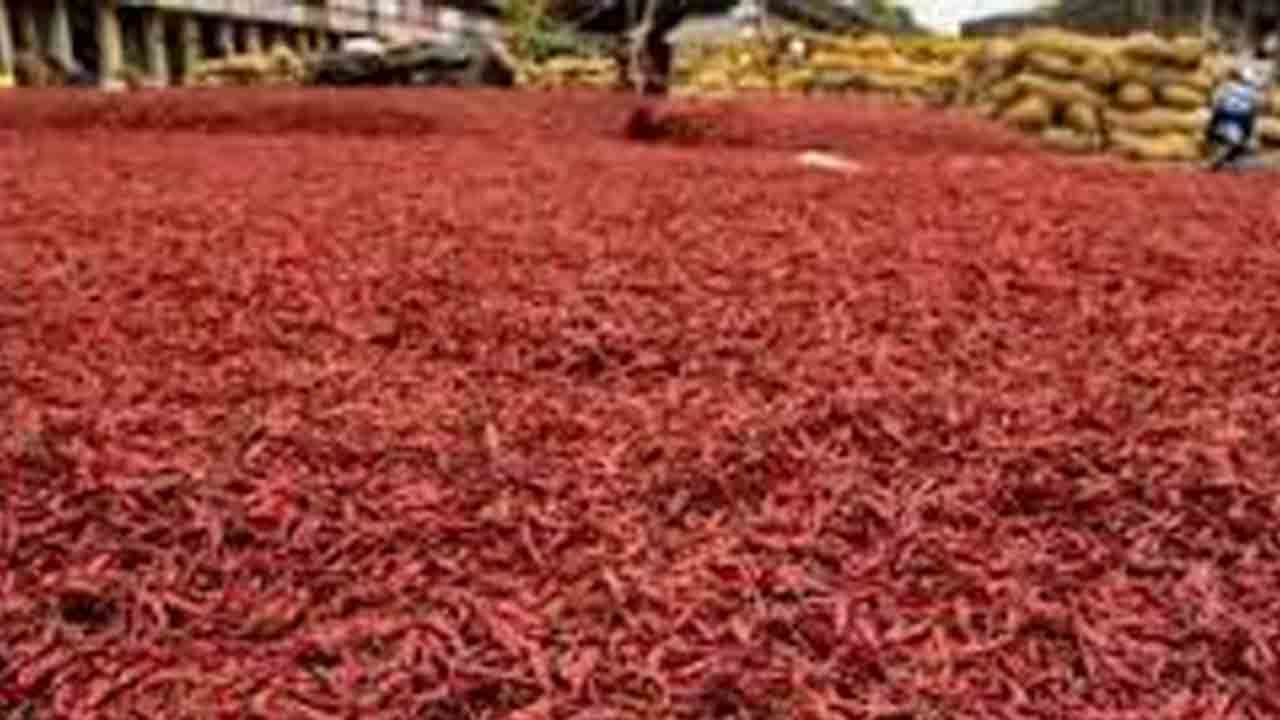 గుంటూరులో మోసపోయిన మన రైతులు