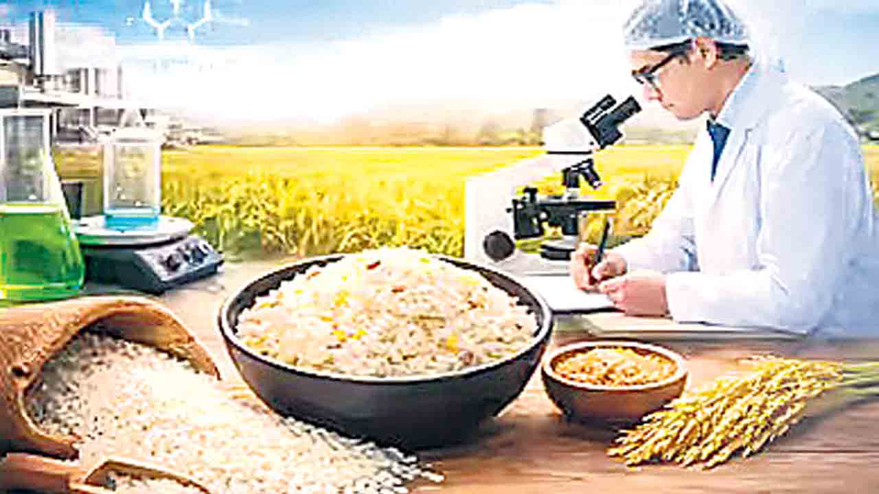 డిజైనర్‌ రైస్‌ రెడీ!