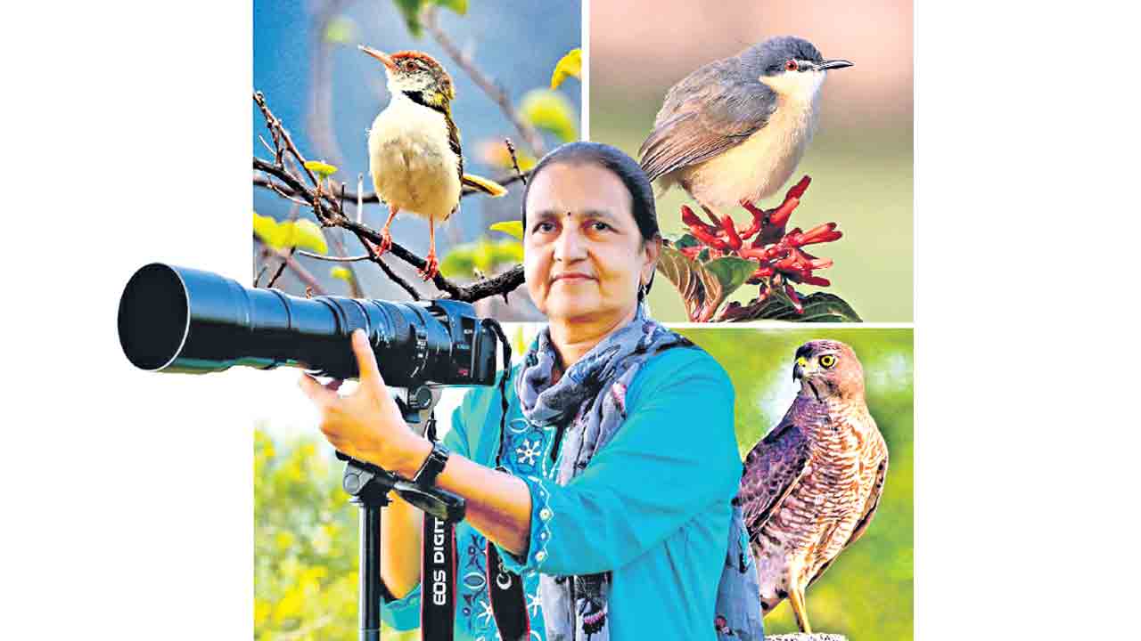 విహంగామా చూపిద్దామని