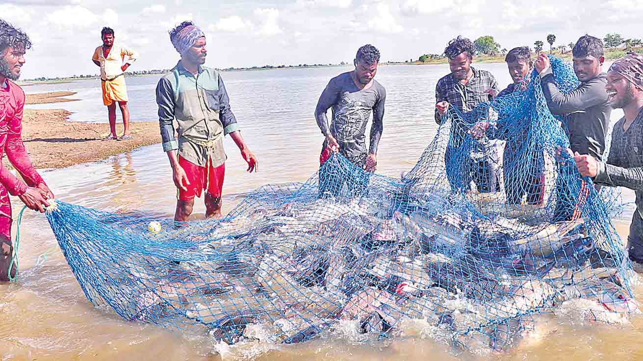 నీలి విప్లవాన్ని నీరుగారుస్తున్న సర్కార్‌