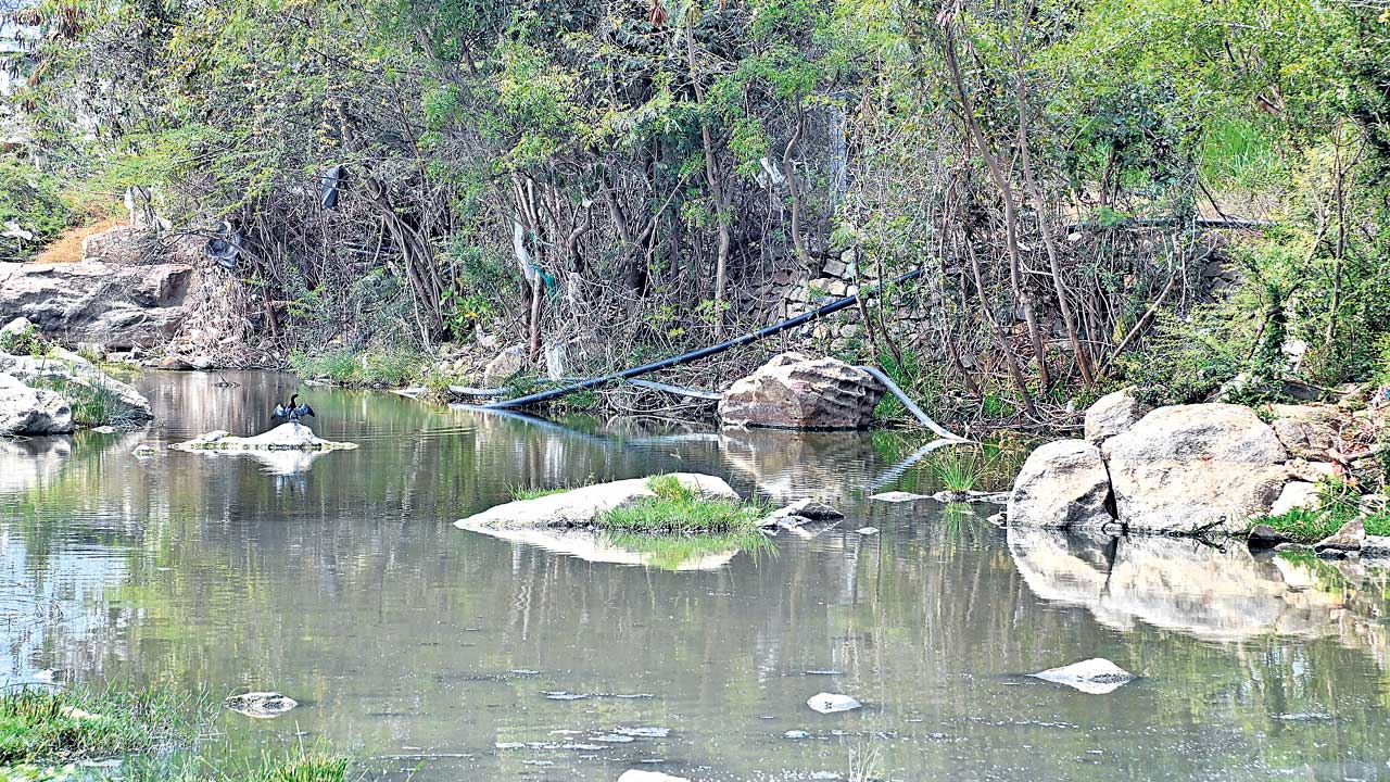 హిమాయత్‌సాగర్‌లో జలదోపిడీ