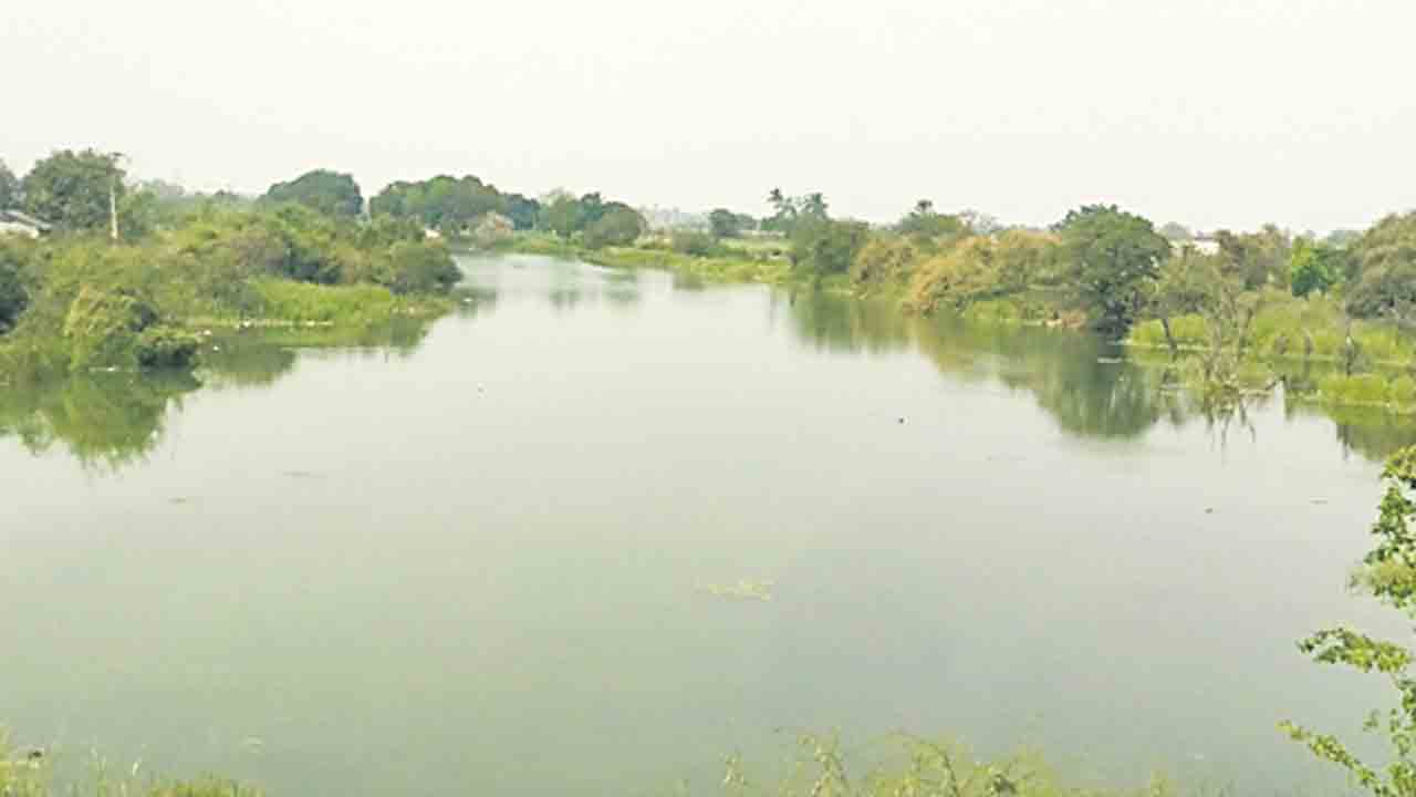 చెక్‌డ్యాముల్లో జలకళ