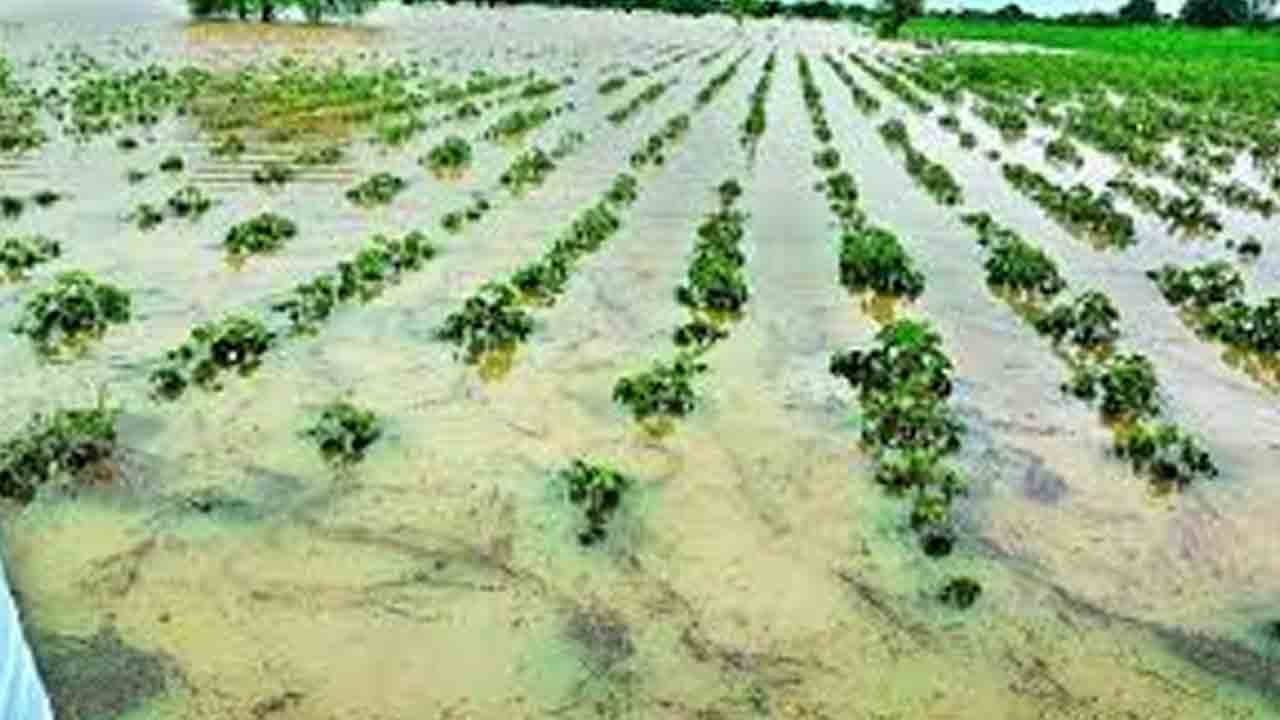 రాష్ట్రవ్యాప్తంగా భారీ వర్షాలు.. కోతకొచ్చిన పంటలకు తీవ్ర నష్టం