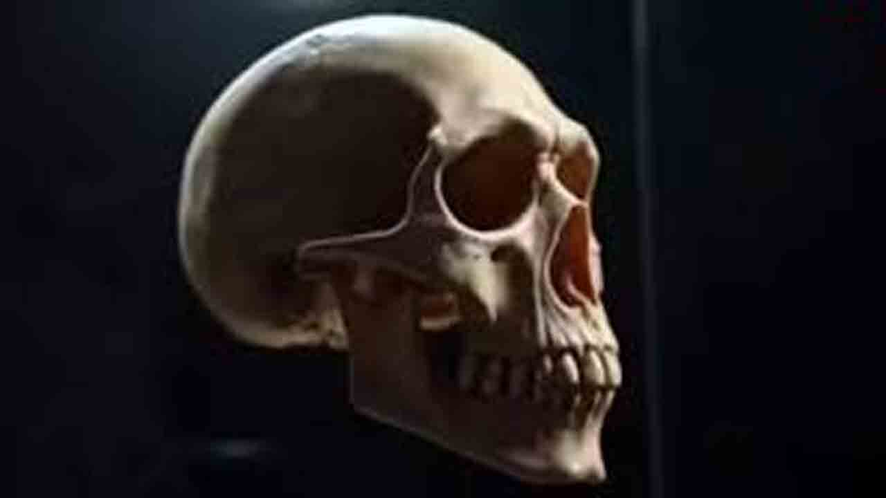 Human Skull | మహిళకు పార్సిల్‌.. ఓపెన్‌ చేస్తే పుర్రె, ఎముకలు, విభూది..!