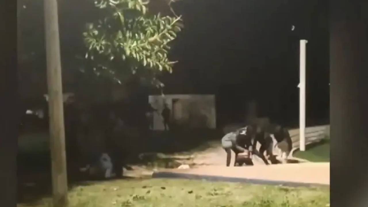 Israel | భారతీయ కార్మికులపై ఇజ్రాయెల్‌లో దాడి.. దోపిడీనా.. జాత్యాహంకారమా..?