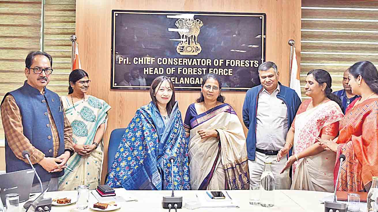 అటవీశాఖకు జైకా రుణసాయం!