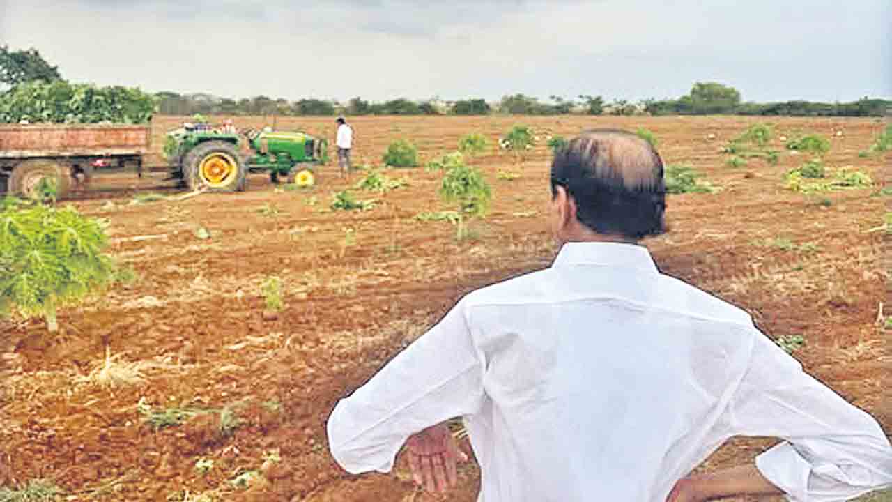 రైతు గుండెకు మట్టిపైనే ప్రేమ