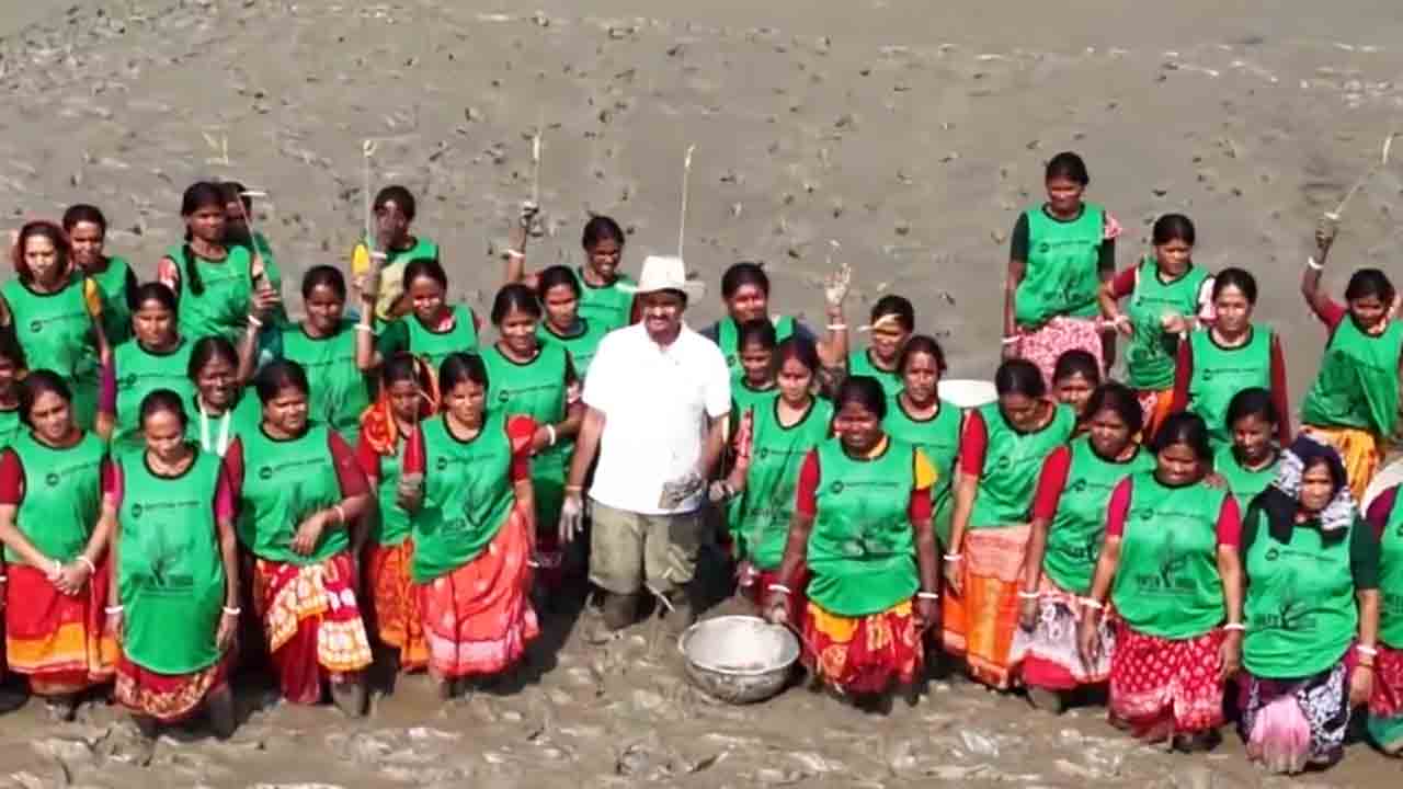 KCR Birthday | కేసీఆర్ బర్త్‌ డే స్పెషల్‌.. సుందర్ బన్ అడవుల్లో 10 వేల మొక్కలకు ప్రాణం.. వీడియో