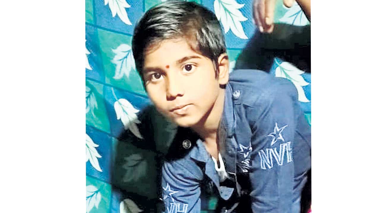 రేగుపండ్లు తెంపుతూ..