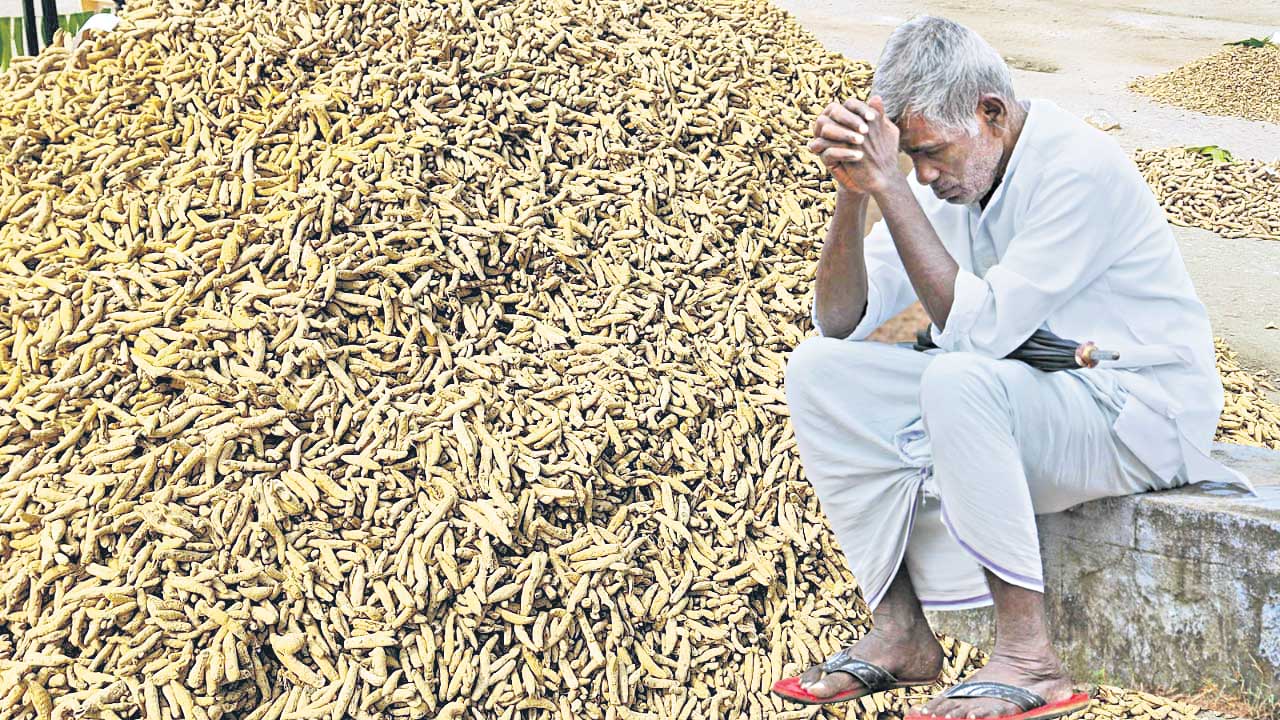 పసుపు రైతు దగా