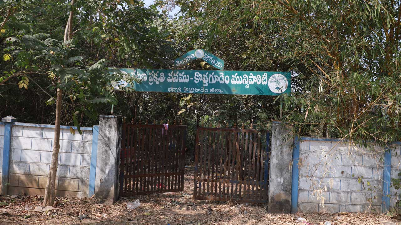 పట్టణంపై పట్టింపేదీ