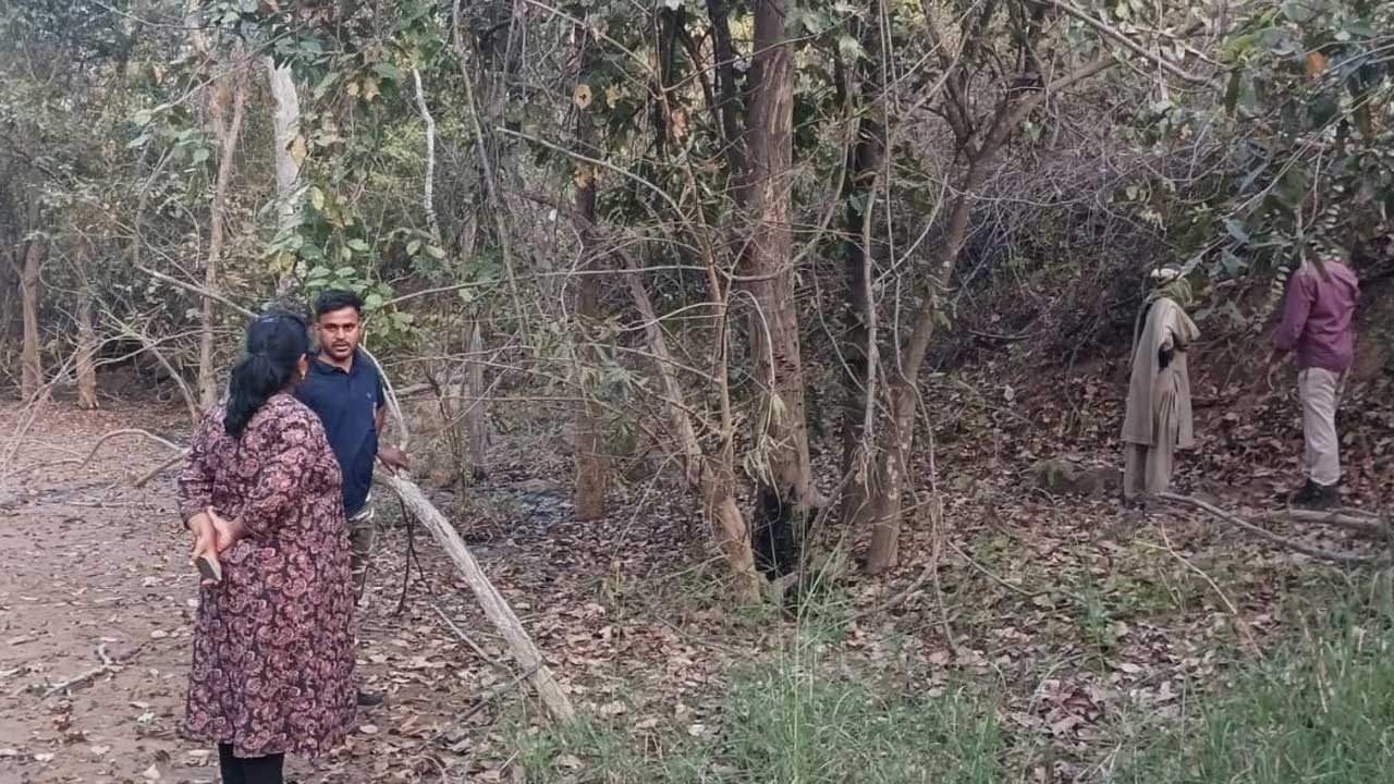 పెద్దపులి తిరుగుతోంది.. జాగ్రత్త!