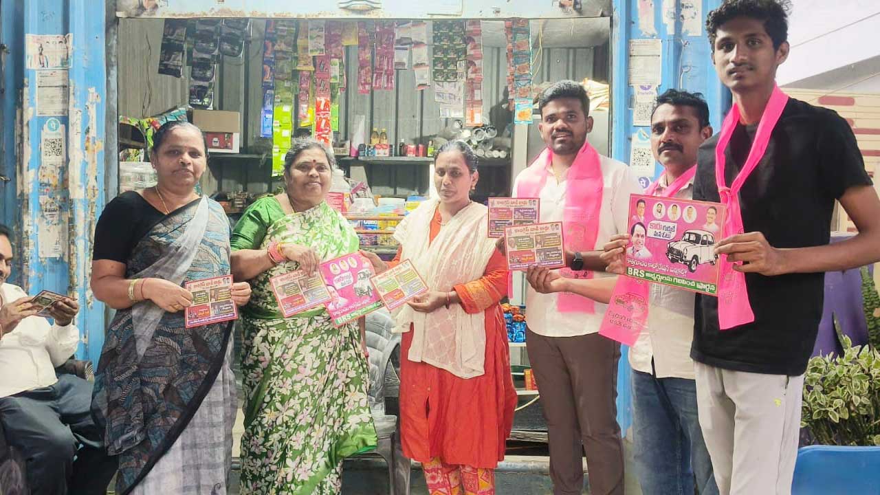 ఇంటింటి ప్రచారంలో గులాబీదళం